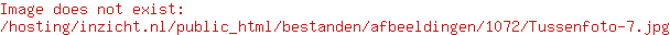 Inzicht