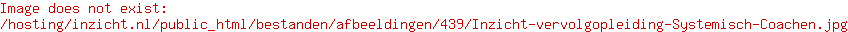 Systemisch coachen