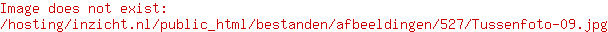 Inzicht